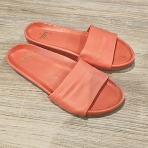 Beek coral slides
